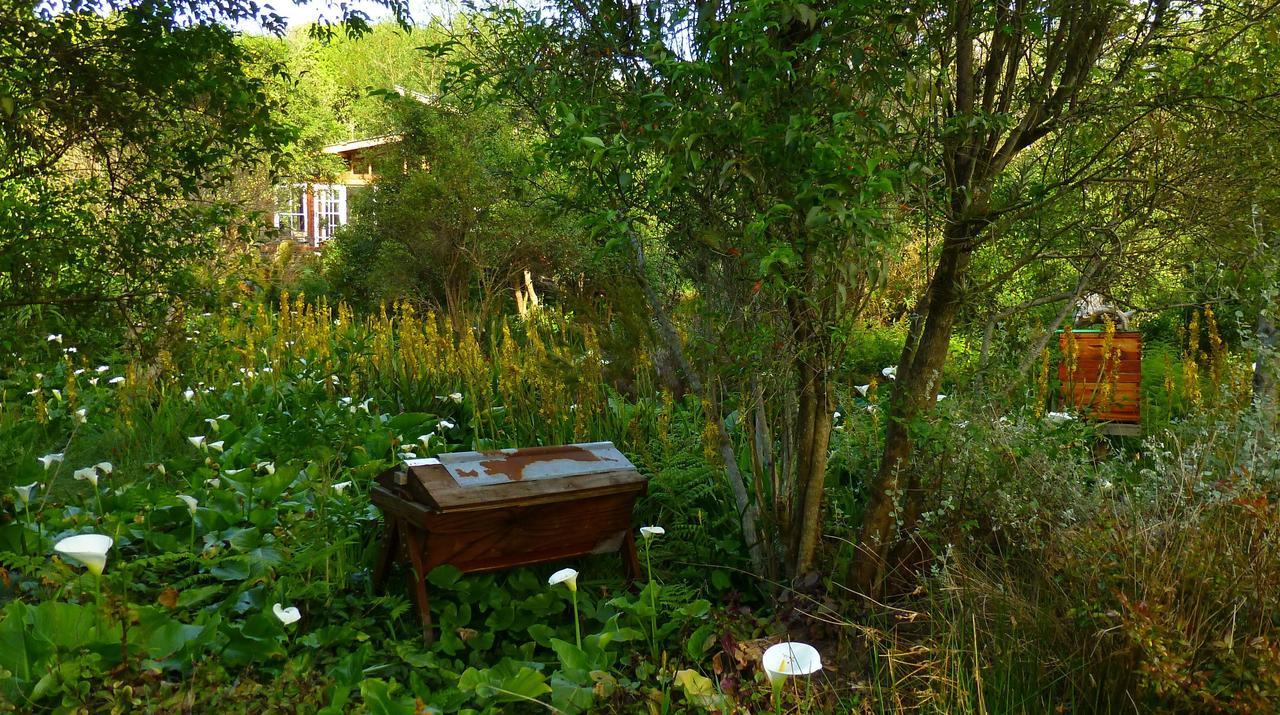 סטורמסריבייר Boutique Vintage Forest Cabin מראה חיצוני תמונה