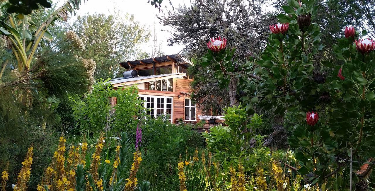 סטורמסריבייר Boutique Vintage Forest Cabin מראה חיצוני תמונה